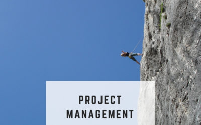 Risk management in projects