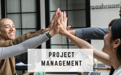 How to prepare a collaboration model for an international project?