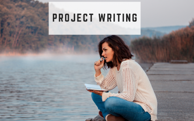 How do successful project writers develop their funding applications?